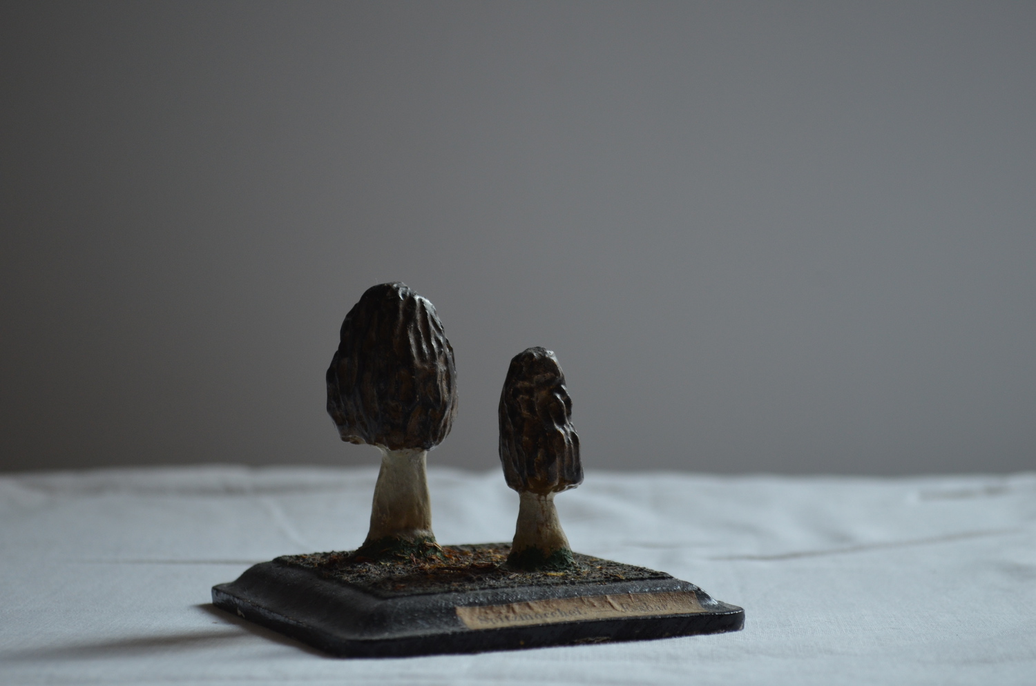 Mushroom model