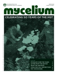 Cover of Mycelium vol. 49 no. 1